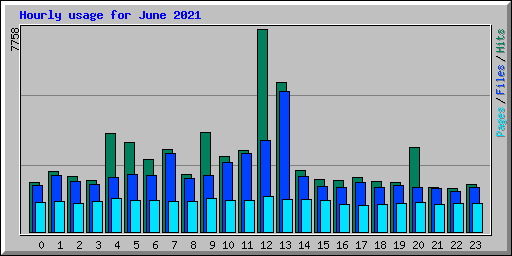 Hourly usage for June 2021